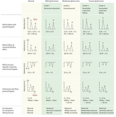 Reference (normal) values for echocardiography.